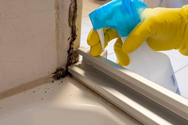Best Toxic Mold Removal  in Oakland, MO